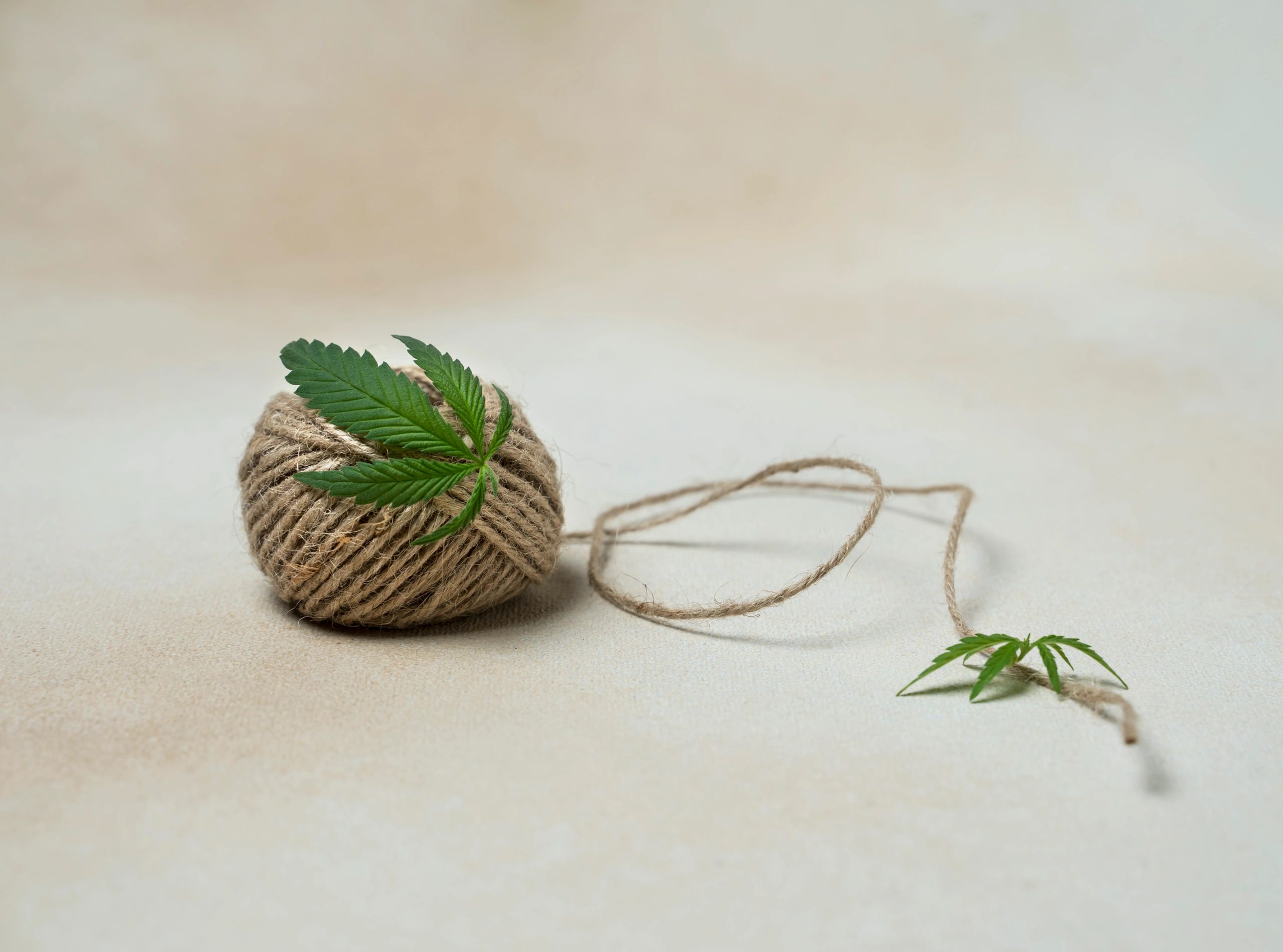 hemp wellness blog