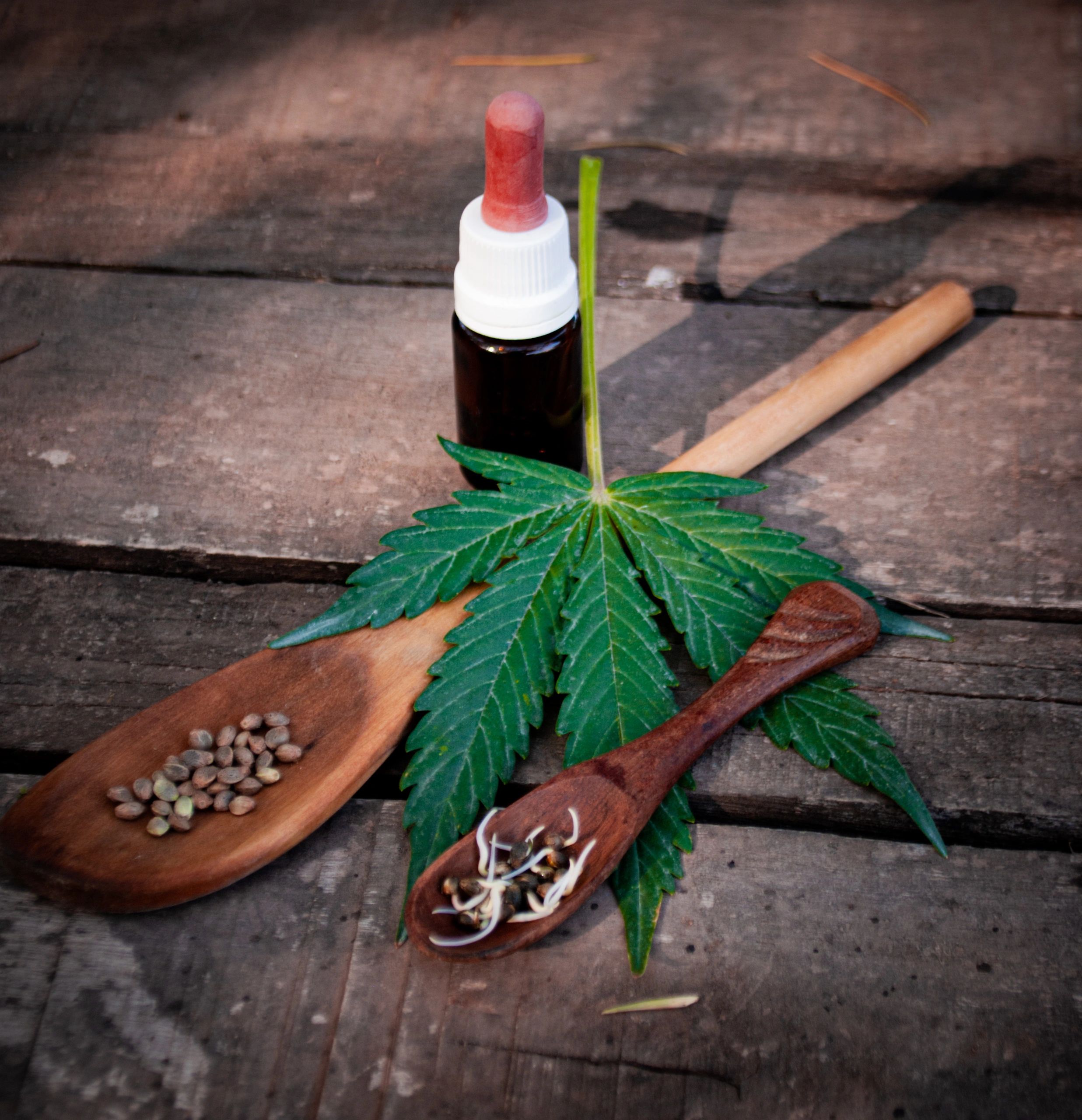 hemp wellness blog inspiration